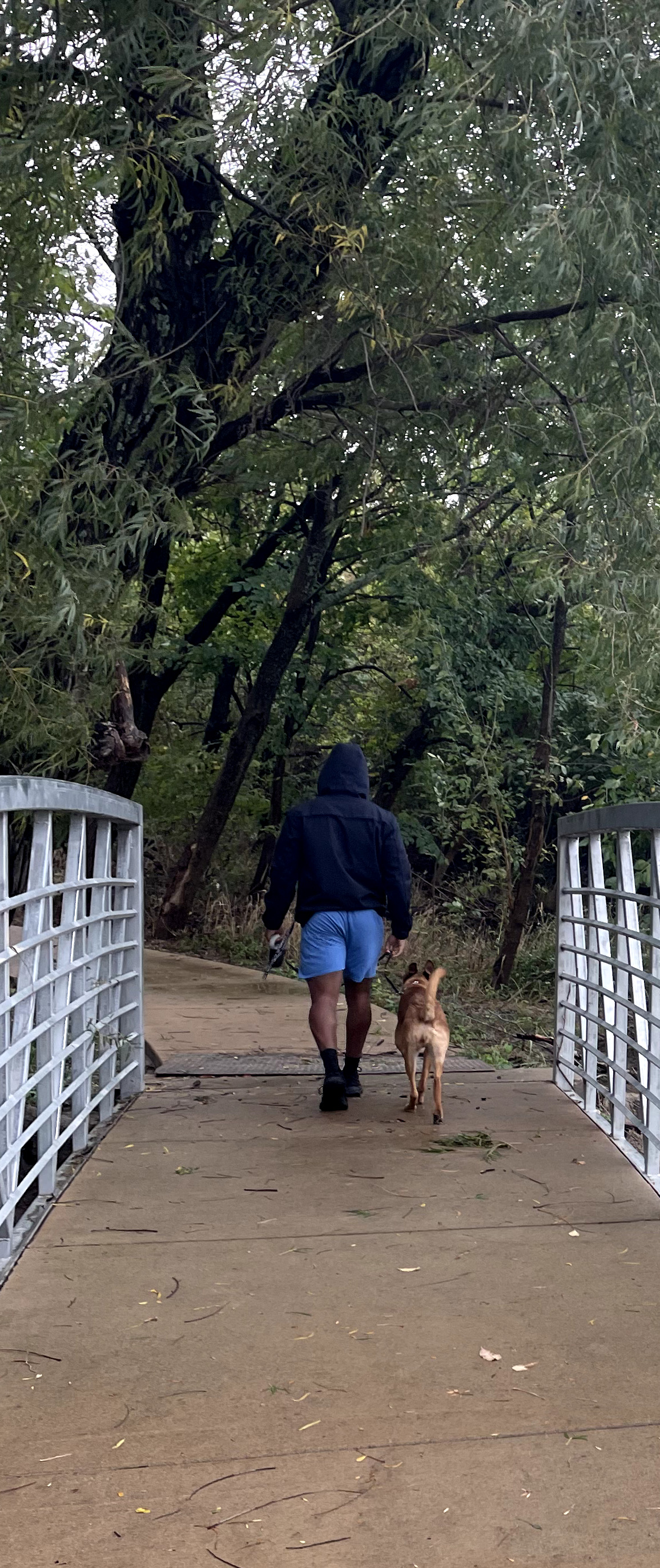 Denzel walking his dog Tesla